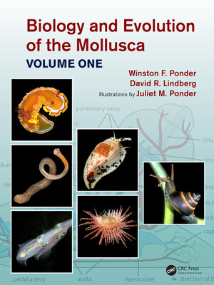 cover image of Biology and Evolution of the Mollusca, Volume 1